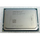 AMD Processor Opteron Third Generation TwelveCore OS6164VATCEGO