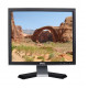 Dell LCD 17in 1280x1024 60 Hz DVI VGA HD15 RGB 1707FPT