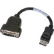 PNY DisplayPort to DVI Cable - DisplayPort/DVI Video Cable - 10" 030-0173-000