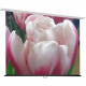 Draper Access Manual Projection Screen - 165" - 16:10 - Ceiling Mount - 87.5" x 140" - Matt White XT1000E 197064