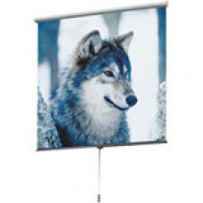 Draper Luma 207205 Manual Projection Screen - 100" - 16:9 - Ceiling Mount, Wall Mount - 49" x 87" - Matt White XT1000E - GREENGUARD Compliance 207205