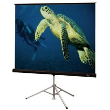 Draper Diplomat/R Manual Projection Screen - 119" - 1:1 - 84" x 84" - Matt White XT1000E 215004