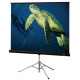 Draper Diplomat 215010 Electric Projection Screen - 120" - 4:3 - 73" x 96" - Matt White XT1000E - GREENGUARD Compliance 215010