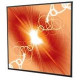 Draper Cineperm Manual Wall and Ceiling Projection Screen - 52" x 92" - M1300 - 106" Diagonal 250023