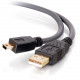C2g 5m Ultima USB 2.0 A to Mini-b Cable - Type A Male USB - Mini Type B Male USB - 16.4ft - Charcoal - TAA Compliance 29653