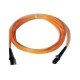Quantum Fiber Optic Duplex Cable - LC Male - LC Male - 25ft 3-03893-01