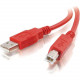 C2g 2m USB 2.0 A/B Cable - Red - Type A Male USB - Type B Male USB - 6.56ft - Red 35673