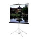 Da-Lite Picture King Portable and Tripod Projection Screen (Gray carpeted) - 70" x 70" - Matte White - 99" Diagonal - TAA Compliance 69899