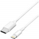 4XEM USB 3.1 Type-C to 8-Pin Lightning Cable - 10FT - 10 ft Lightning/USB Data Transfer Cable for iPhone, iPod, iPad - First End: 1 x Type C Male USB - Second End: 1 x Lightning Male Proprietary Connector - White 4XUSBC8PIN10