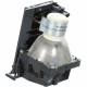 Total Micro Projector lamp - 250 W Projector Lamp - 3500 Hour Standard, 5000 Hour Economy Mode 512628-TM