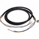 Axis Cable EX - 49.21 ft Video/Power/Network Cable for Surveillance Camera - TAA Compliance 5507-181