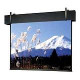 Da-Lite Professional Electrol Projection Screen - 168" x 168" - Matte White - 238" Diagonal 81622