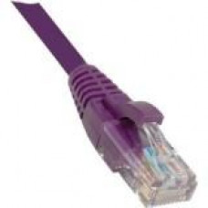 Weltron Cat.6 Patch Network Cable - 1 ft Category 6 Network Cable for Network Device - First End: 1 x RJ-45 Male - Second End: 1 x RJ-45 Male - Patch Cable - Purple 90-C6CB-PL-001