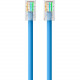 Belkin Cat5e Patch Cable - RJ-45 Male Network - RJ-45 Male Network - 1ft - Blue - TAA Compliance A3L791-01-BLU