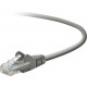 Belkin Cat. 5E UTP Patch Cable - RJ-45 Male - RJ-45 Male - 25ft - Gray - TAA Compliance A3L791B25-S