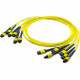 AddOn 10m MPO (Female) to MPO (Female) 72-strand Yellow OS1 Straight Fiber Trunk Cable - 100% compatible and guaranteed to work - RoHS, TAA Compliance ADD-TC-10M72-6MPF1