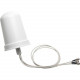 Cisco Aironet 2.4-GHz MIMO Wall-Mounted Omnidirectional Antenna - Range - UHF - 2.40 GHz to 2.48 GHz - 4 dBi - Wireless Data Network, OutdoorWall/Ceiling - Omni-directional - RP-TNC Connector - TAA Compliance AIR-ANT2440NV-R-RF