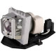 Optoma BL-FP240B P-VIP 240W Lamp - 240 W Projector Lamp - P-VIP - 3000 Hour, 6000 Hour Economy Mode BL-FP240B