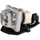 Battery Technology BTI Projector Lamp - 240 W Projector Lamp - P-VIP - 3500 Hour BL-FP240G-OE