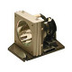 Total Micro Replacement Lamp - 200 W Projector Lamp - SHP - 3000 Hour Standard, 5000 Hour Economy Mode BL-FS200B-TM