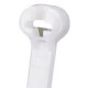 PANDUIT Dome-Top BT Series Barb Ty Cable Tie - Natural - Nylon - TAA Compliance BT4I-C