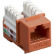 Black Box CAT5e Value Line Keystone Jack, Orange - 1 x RJ-45 Female - Orange - RoHS Compliance CAT5EJ-OR