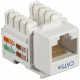 Black Box CAT5e Value Line Keystone Jack, White, 25-Pack - 25 Pack - 1 x RJ-45 Female - White - RoHS Compliance CAT5EJ-WH-25PAK
