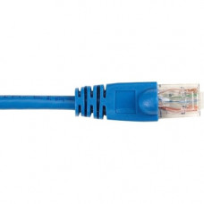 Black Box CAT5e Value Line Patch Cable, Stranded, Blue, 2-ft. (0.6-m), 25-Pack - 2 ft Category 5e Network Cable for Network Device - First End: 1 x RJ-45 Male Network - Second End: 1 x RJ-45 Male Network - Patch Cable - Gold Plated Contact - Blue - 25 Pac