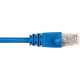 Black Box CAT5e Value Line Patch Cable, Stranded, Blue, 2-ft. (0.6-m), 25-Pack - 2 ft Category 5e Network Cable for Network Device - First End: 1 x RJ-45 Male Network - Second End: 1 x RJ-45 Male Network - Patch Cable - Gold Plated Contact - Blue - 25 Pac