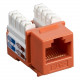 Black Box CAT6 Value Line Keystone Jack, Orange, 25-Pack - 25 Pack - 1 x RJ-45 Female - Orange - RoHS Compliance CAT6J-OR-25PAK