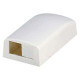 Panduit Mini-Com 2 Socket Surface Mounting Box - 2 x Socket(s) - Off White - TAA Compliance CBX2IW-AY