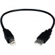 Qvs USB Cable - Type A Male - Type B Male USB - 1ft - Black CC2209C-01