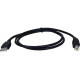 Qvs USB 2.0 High-Speed 480Mbps Type A Male to B Male Black Cable - 3 ft USB Data Transfer Cable for Printer, Scanner, Storage Drive - First End: 1 x Type A Male USB - Second End: 1 x Type A Female USB - Shielding - Black CC2209C-03