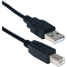 Qvs USB Cable - Type A Male USB - Type B Male USB - 6ft - Black CC2209C-06