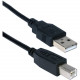 Qvs USB Cable - Type A Male USB - Type B Male USB - 6ft - Black CC2209C-06