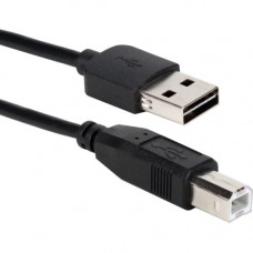 Qvs 6ft Reversible USB A to USB B Black Cable - USB Data Transfer Cable for Printer, Scanner, Storage Drive, Hub - First End: 1 x Type A Male USB - Second End: 1 x Type B Female USB - 60 MB/s - Black CC2209R-06