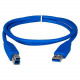 Qvs USB 3.0 Compliant 5Gbps Type A Male to B Male Cable - 3 ft USB Data Transfer Cable for Printer, Scanner, Storage Drive - First End: 1 x Type A Male USB - Second End: 1 x Type B Male USB - Shielding - Blue CC2219C-03
