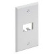 PANDUIT 2 Socket Mini-Com Classic Faceplate - 2 x Socket(s) - 1-gang - White - TAA Compliance CFP2WH