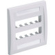 Panduit  PanNet Executive CFPE10BL-2GY Faceplate - 10 x Socket(s) - 2-gang - Black - TAA Compliance CFPE10BL-2GY