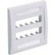 Panduit CFPE10EI-2GY Faceplate - 10 x Total Number of Socket(s) - 2-gang - Electric Ivory - Acrylonitrile Butadiene Styrene (ABS), Thermoplastic - TAA Compliance CFPE10EI-2GY