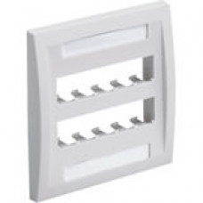 PANDUIT 10-Socket Faceplate - 10 x Socket(s) - 2-gang - Off-white - RoHS, TAA Compliance CFPE10IW-2GY