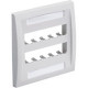 PANDUIT 10-Socket Faceplate - 10 x Socket(s) - 2-gang - Off-white - RoHS, TAA Compliance CFPE10IW-2GY