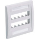 Panduit Executive CFPE10WH-2GY Faceplate - 10 x Total Number of Socket(s) - 2-gang - White - Acrylonitrile Butadiene Styrene (ABS), Thermoplastic - TAA Compliance CFPE10WH-2GY