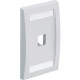 Panduit  PanNet Executive CFPE1IGY Faceplate - 1 x Socket(s) - 1-gang - International Gray - TAA Compliance CFPE1IGY