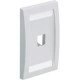 Panduit Executive CFPE1WHY Faceplate - 1 x Total Number of Socket(s) - 1-gang - White - Acrylonitrile Butadiene Styrene (ABS), Thermoplastic - TAA Compliance CFPE1WHY