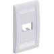 Panduit Executive CFPE2BLY Faceplate - 2 x Total Number of Socket(s) - 1-gang - Black - Acrylonitrile Butadiene Styrene (ABS), Thermoplastic - TAA Compliance CFPE2BLY