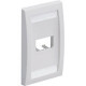 PANDUIT 2-Socket Faceplate - 2 x Socket(s) - 1-gang - Electric Ivory - TAA Compliance CFPE2EIY