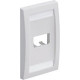 PANDUIT 2-Socket Faceplate - 2 x Socket(s) - 1-gang - Off-white - RoHS, TAA Compliance CFPE2IWY