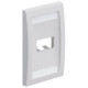 Panduit Mini-Com 2 Sockets Single Gang Faceplate - 2 x Total Number of Socket(s) - 1-gang - White - TAA Compliance CFPE2WHY