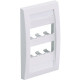 Panduit  PanNet Executive CFPE6IGY Faceplate - 6 x Socket(s) - 1-gang - International Gray - TAA Compliance CFPE6IGY